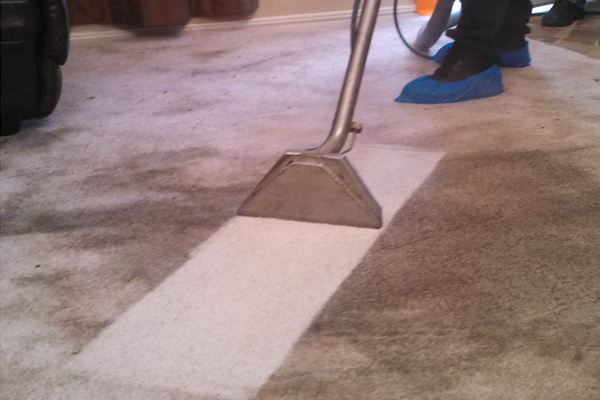 Upholstery Cleaning